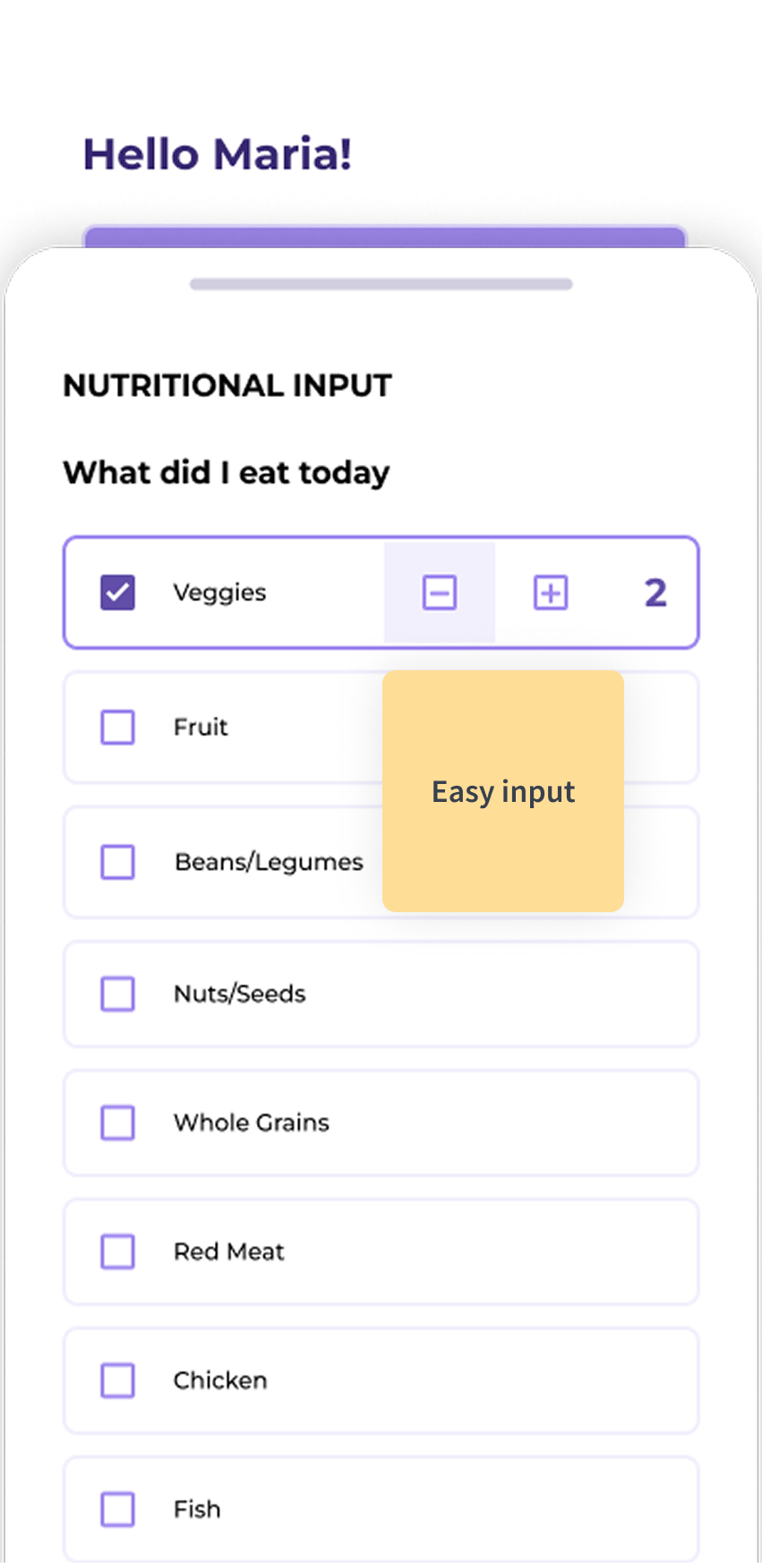 Input Image 4